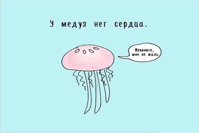 Медуза Мем. Мемы про медуз. Шутки про медуз. Медуза прикол. У медузы есть мозги