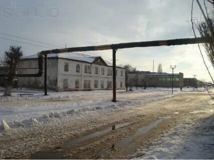 Погода саратовская красный кут на 10 дней