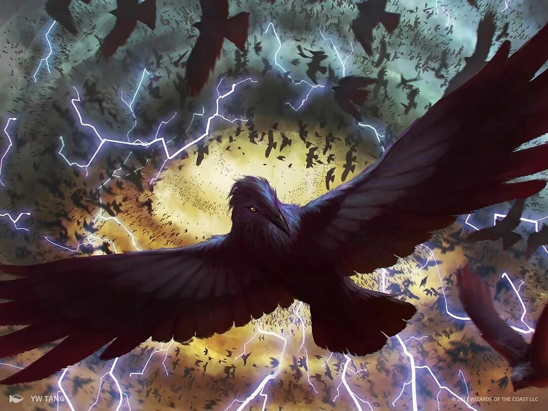 Storm crows