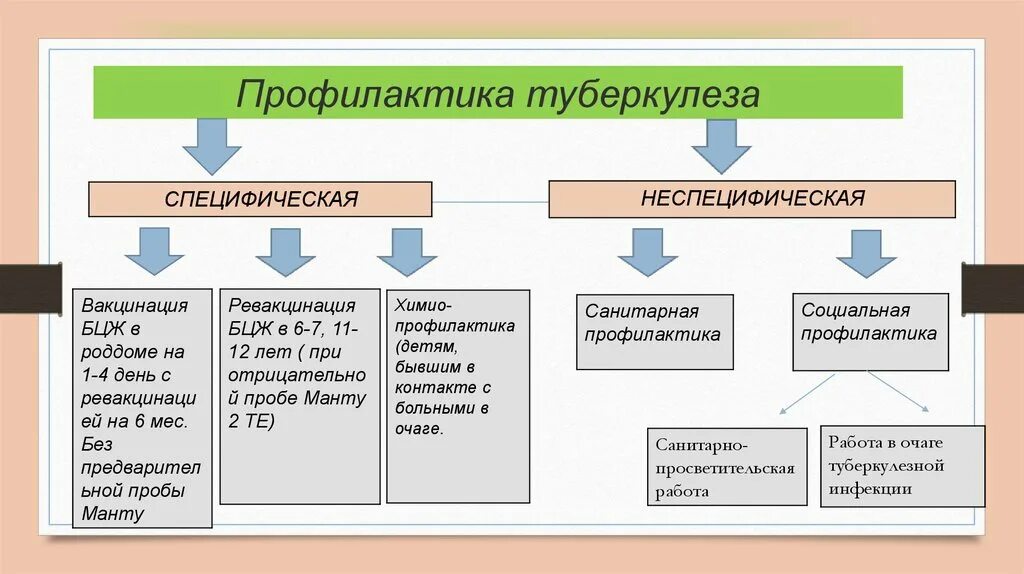 Специфическая и неспецифическая профилактика туберкулеза. Методы специфической профилактики туберкулеза. Методы неспецифической профилактики туберкулеза. Метод специфической профилактики туберкулеза. Специфически большие группы