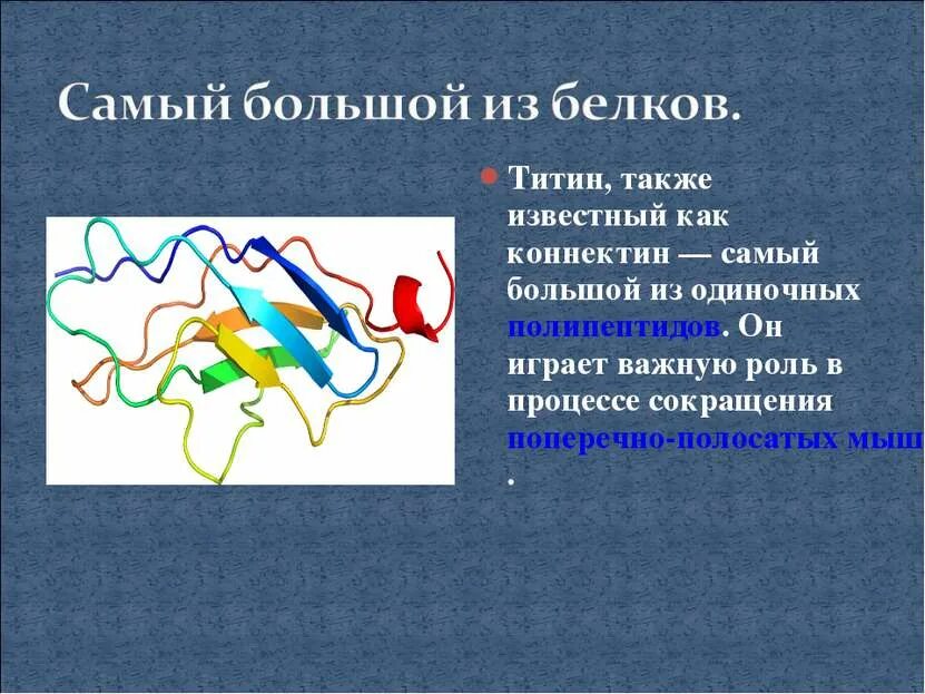 Белок кол. Белок органическое вещество. Белок в моче повышен. Белок кол. Общий белок.