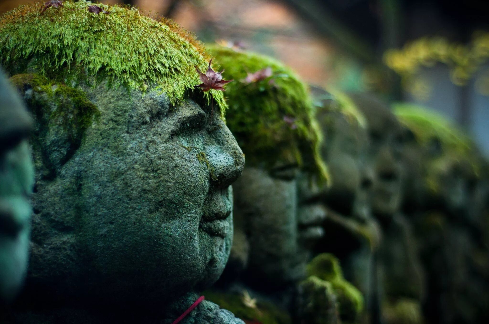 Сквозь каменное лицо. Замшелый Будда. Скульптуры поросшие мхом. Статуя во мху. Заросший мхом.