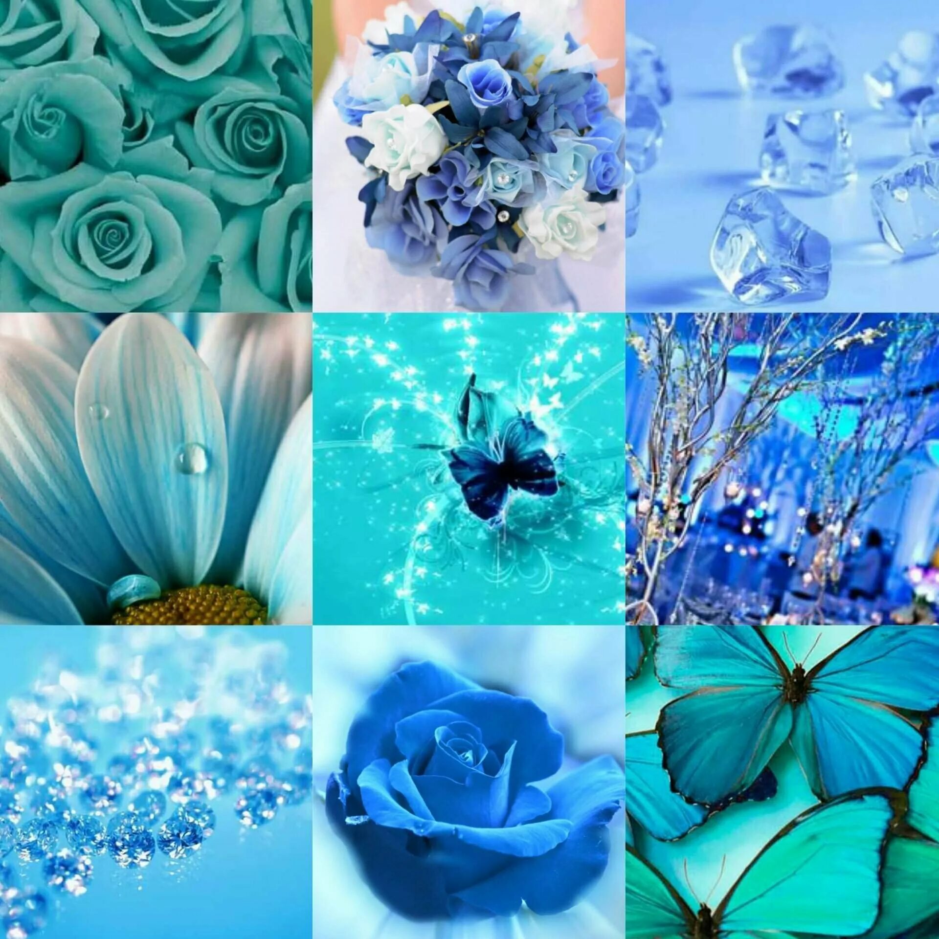 Выполнен в голубом цвете голубой. Голубой цвет. Бирюзовые цветы. Красивый голубой цвет. Голубые обои.
