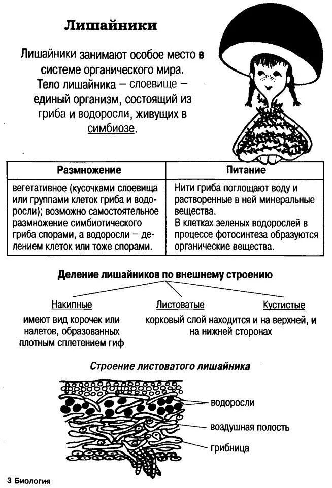 Многообразие грибов и лишайников таблица. Царство грибы отдел лишайники таблица строение. Конспект биология грибы лишайники 5 класс. Царство грибов таблицы биология. Грибы и лишайники биология