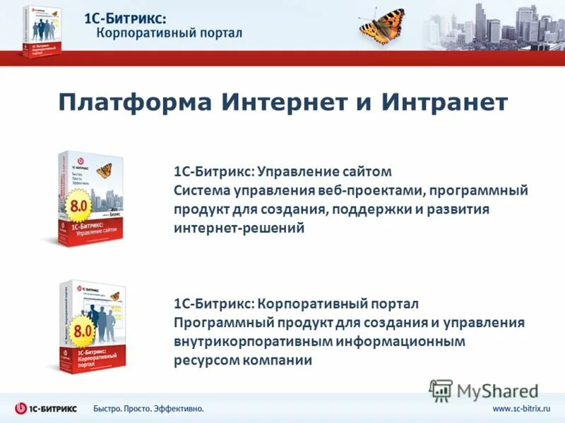 компания интернет решения