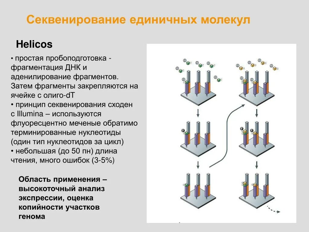 Секвенирование нуклеотидов. Полупроводниковое секвенирование. Молекулярное секвенирование. Секвенирование область применения. Методы секвенирования нового поколения.