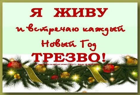 Трезвый новый год