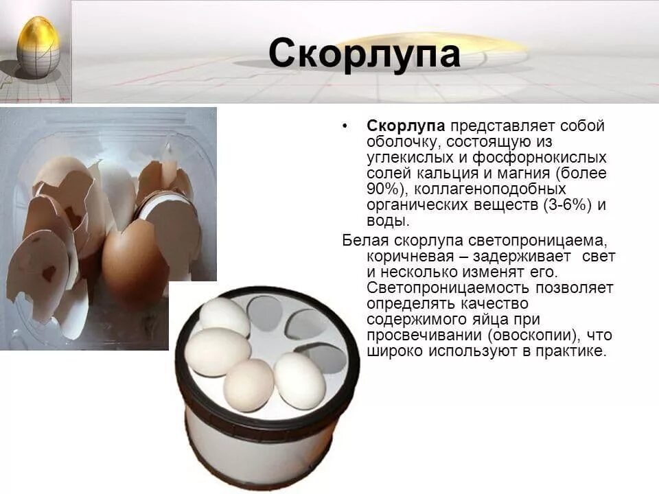 Тонкая скорлупа у куриных яиц. Скорлупа состоит из. Кальций в скорлупе яйца. Из чего состоит яичная скорлупа химия. Почему скорлупа мягкая