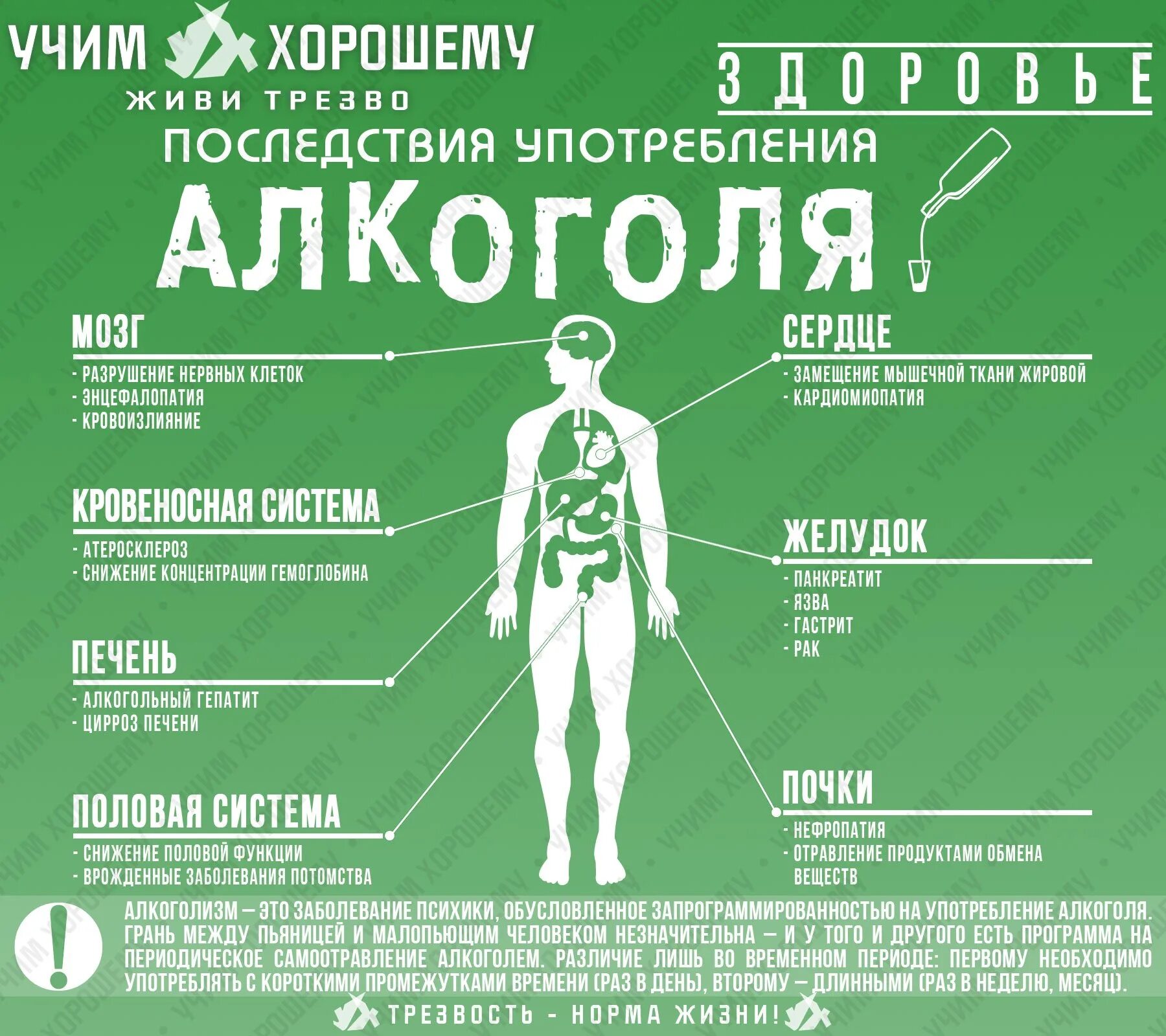 Приложение трезвости. Против алкоголизма. Алкоголь яд. Инфографика о пьянстве.