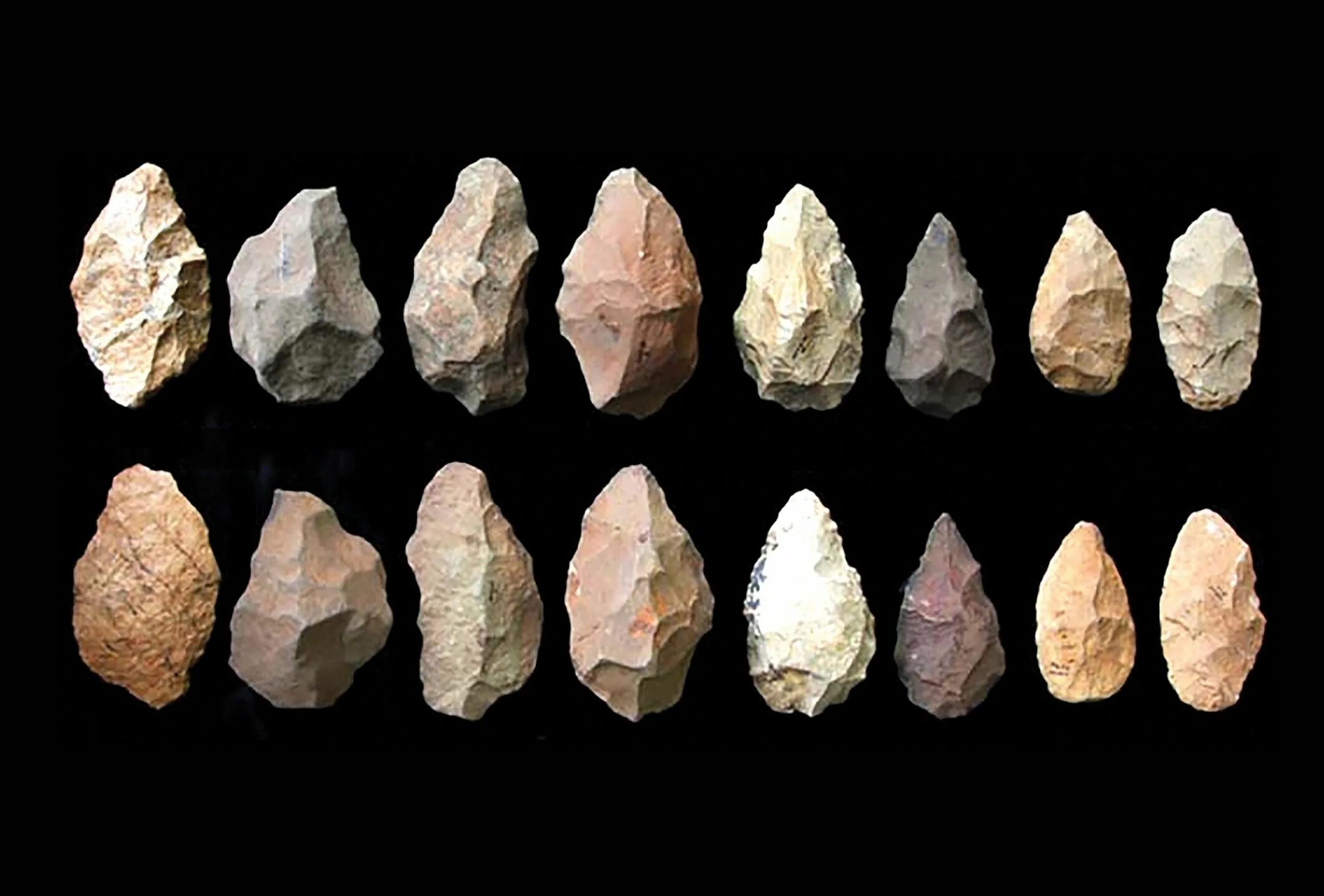 Цвет рубила. Каменные орудия палеолита. Homo habilis древнейшие каменные орудия. Хомо хабилис орудия труда. Нуклеус палеолит.