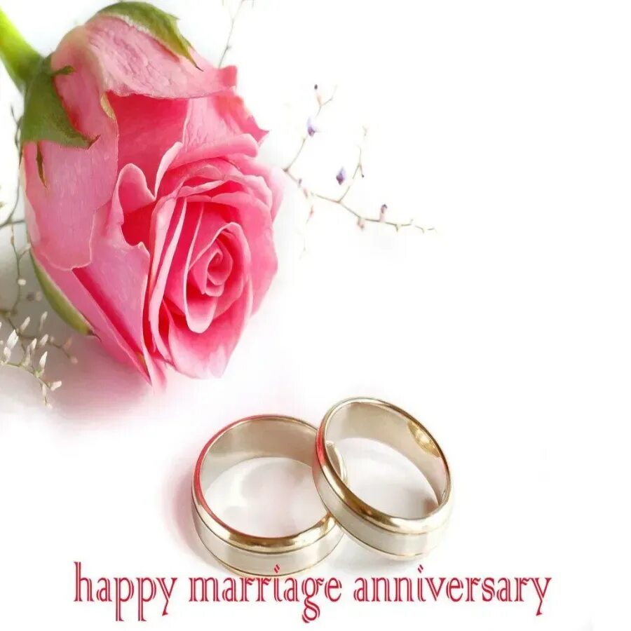 С первым месяцем бракосочетания. 7 Месяцев со дня свадьбы. 2 Месяца со дня свадьбы. Восемь месяцев совместной жизни.
