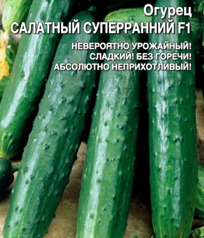 Огурец салатный отзывы. Сорт огурцов пикас. Огурцы салатные для урала. Огурец салатный отзывы. Огурец прайм f1.