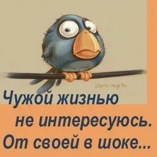Не интересовалась ею