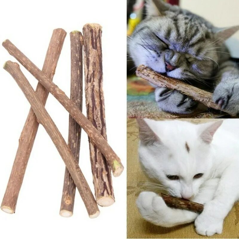 Палочки мататаби. Палочки мататаби для кошек. Палочки для котят для зубов. Палочки для чистки зубов для кошек.