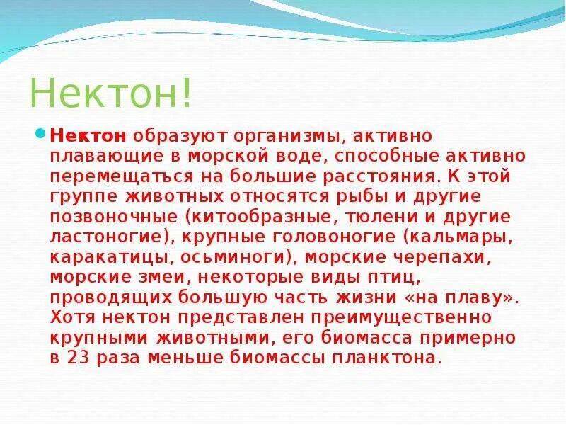 Нектон факты. Образ жизни нектона. Тюление Нектон. Интересные факты о нектонах 7 класс. Организмы активно плавающие воде