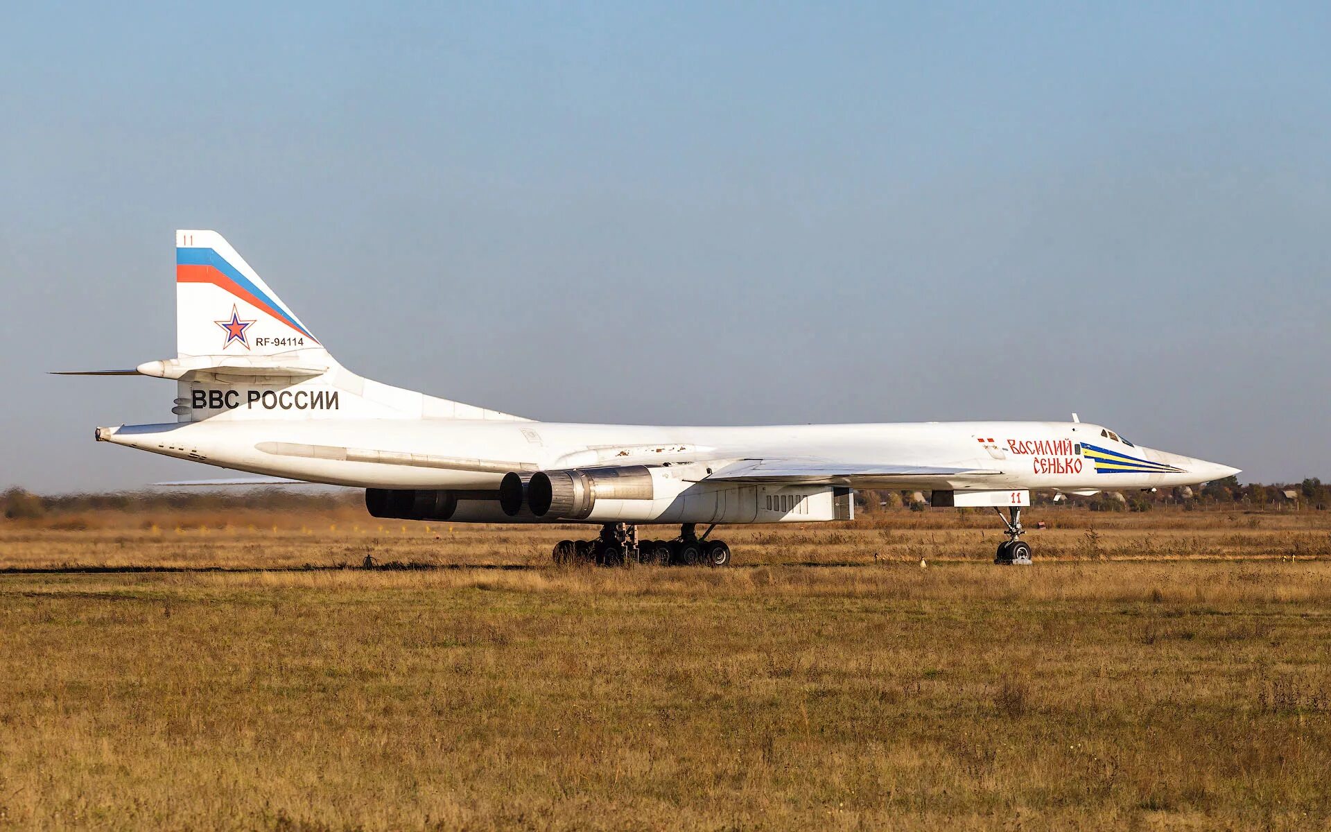 Сколько у россии ту 160. Ту-160 белый лебедь. Бомбардировщик ту-160. Ту-160 сверхзвуковой самолёт. Бомбардировщик ту-160 Энгельс.
