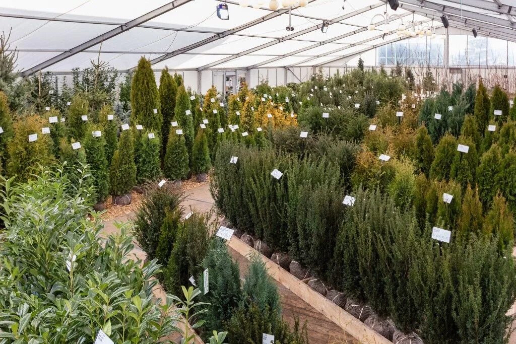 Питомник растений "сад эко". Garden plants питомник растений. Питомники растений арамиль. Эко сад в крыму. Питомники растений арамиль.