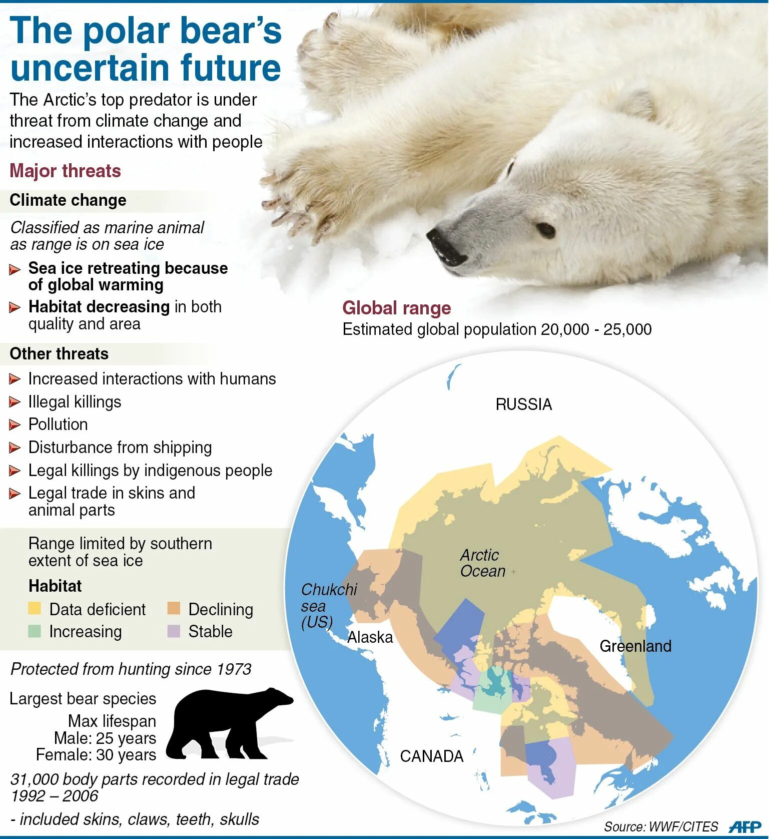 Polar Bear facts. Ареал обитания белых медведей. Белый медведь инфографика. Белый медведь facts. Как можно объяснить ареал обитания белого медведя