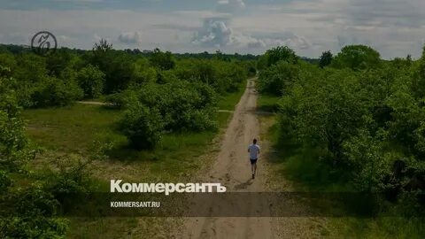 Погода в садовом воронежская область