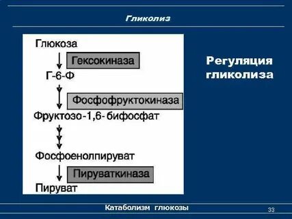 Регуляция гликолиза