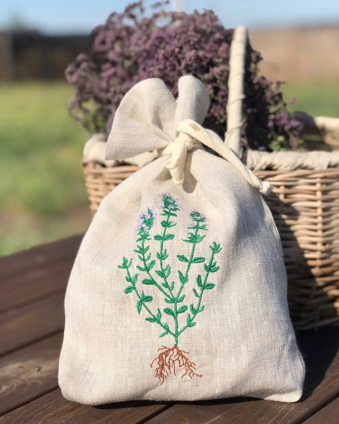 Чабрец дагестанский. Thymus daghestanicus. Тимьян ползучий (thymus serpyllum 'elfin'). Чабрец тимьян обыкновенный. Тимьян (чабрец).