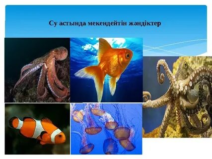 1980 жылдары телехикая Ваня жыныстық қатынасқа түседі.