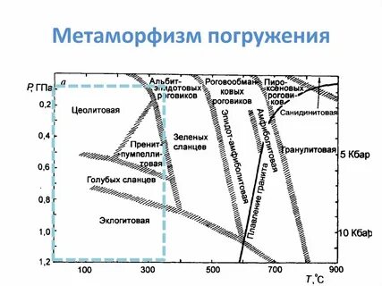 Виды метаморфизма
