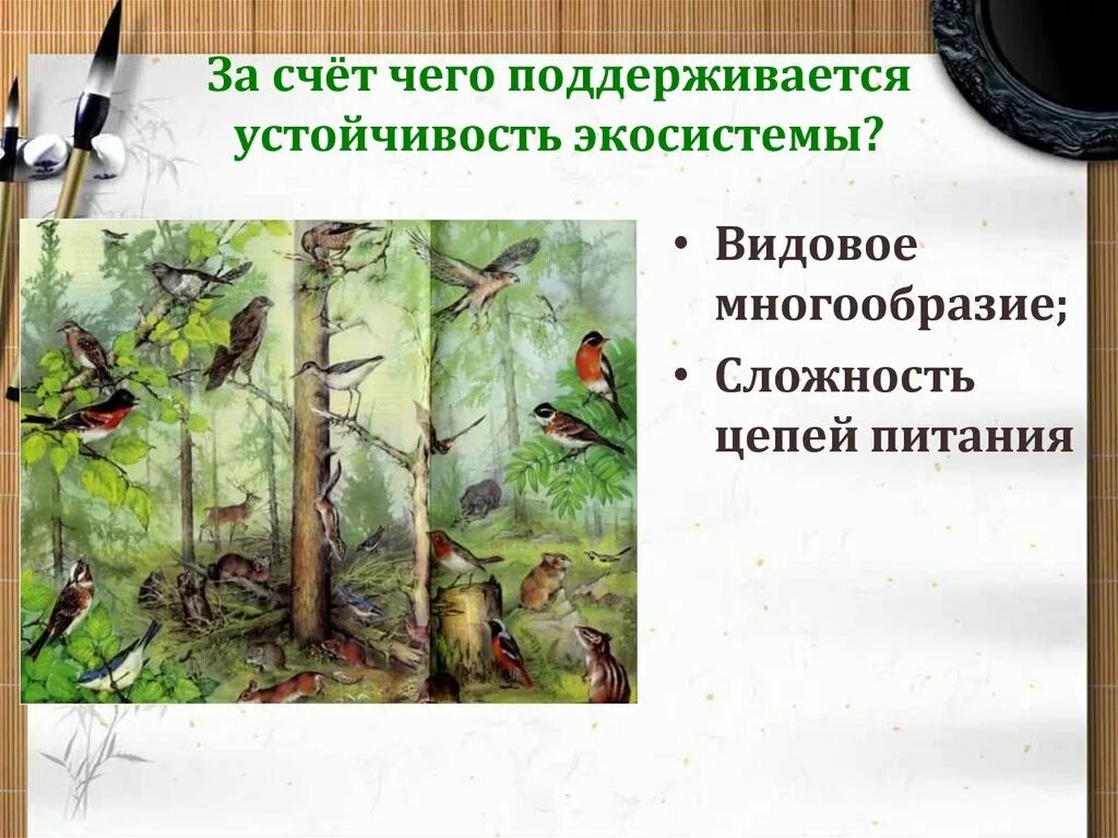 Многообразие сложности. Устойчивость экосистемы. За счет чего поддерживается устойчивость экосистемы. Устойчивость биогеоценоза. Видовое разнообразие и устойчивость экосистем.