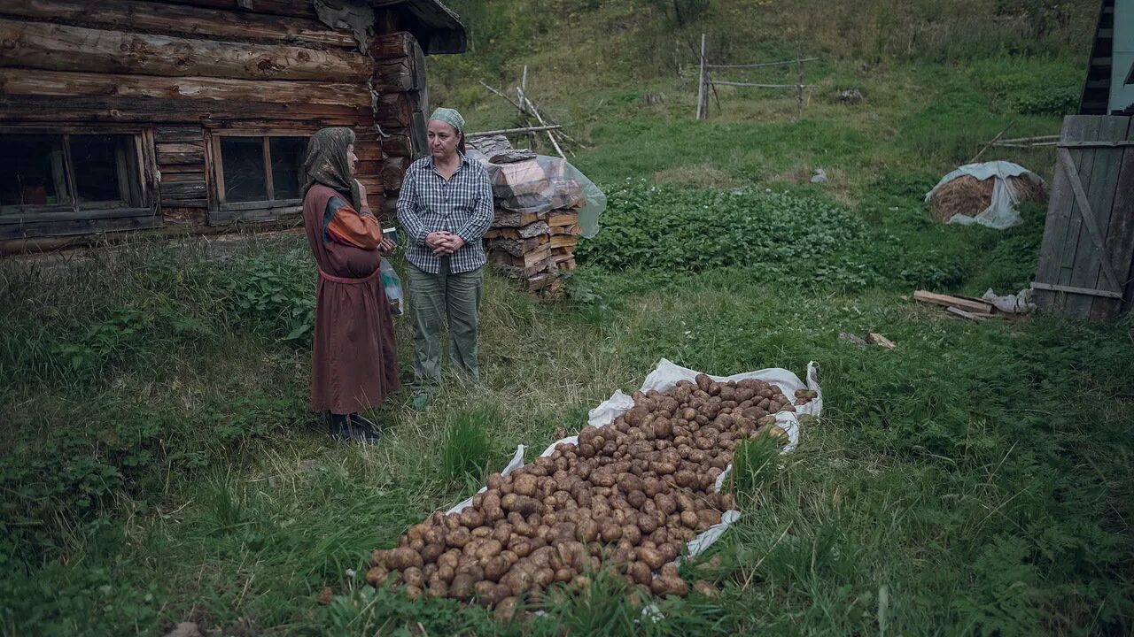 Жизнь и быт людей тайги. Жизнь и быт людей тайги