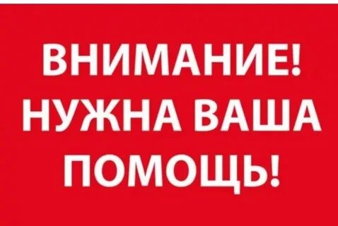 Вам нужную информацию и помогут