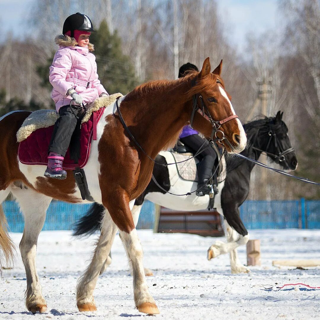 Кск занятия. Конный клуб Аллюр Бердск. Иппотерапия КСК Аллюр. Верховая езда. Занятия на лошадях.