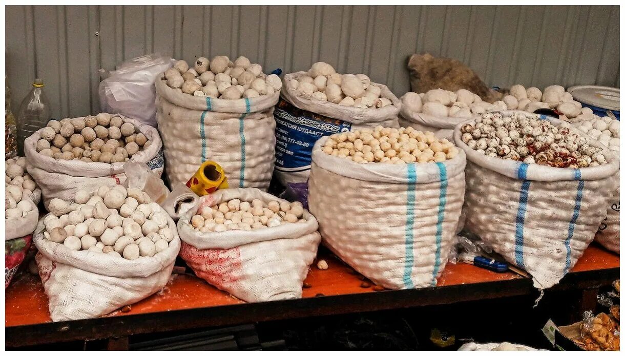 среднеазиатский курт. из чего сделан курт. из чего сделан курт. курт ингредиенты. курт сыр казахский.