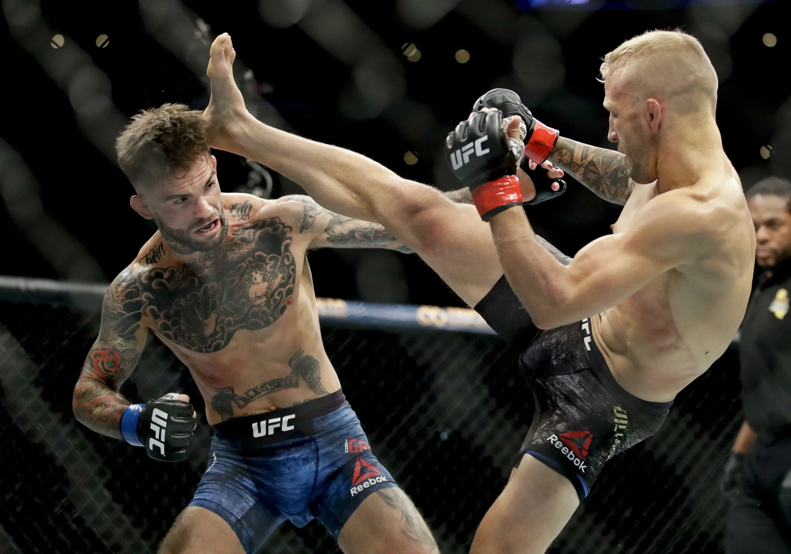 История бойцов ufc. Диллашоу юфс. UFC пояс t. j. Dillashaw. Боец ММА Коди Гарбрандт. Гарбрандт Диллашоу.