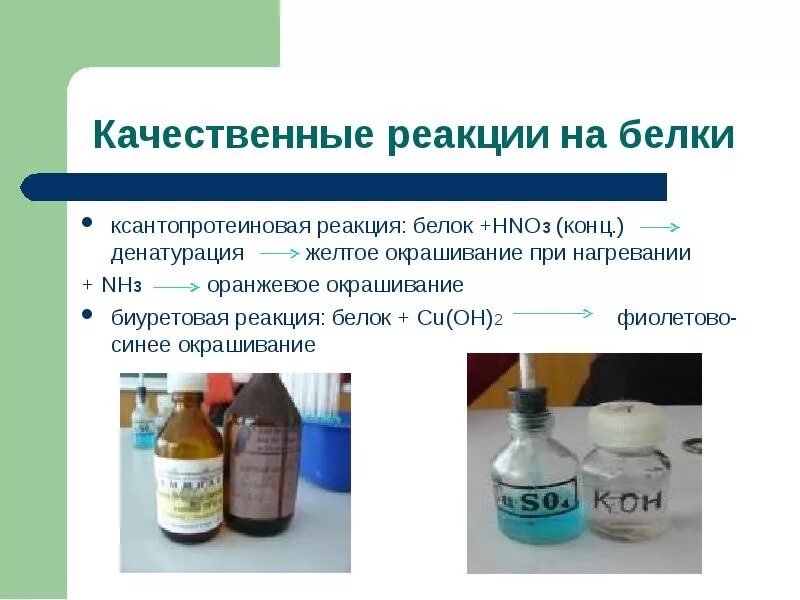 Качественная реакция на белки называется. Качественная реакция на белки ксантопротеиновая. качественные реакции на белки биуретовая и ксантопротеиновая. качественныереакцит на белки. качественные реакции на белк.