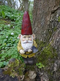Forest gnome
