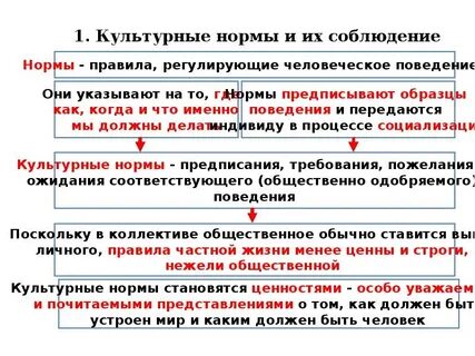 Нормы культуры определение