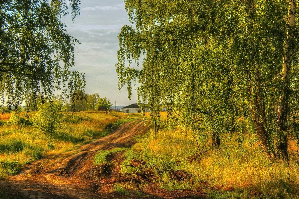 Поля село церквушка россия. Березовая роща рязань. Родные просторы пушгоры. Российские просторы березовая роща. Пейзажи россии.