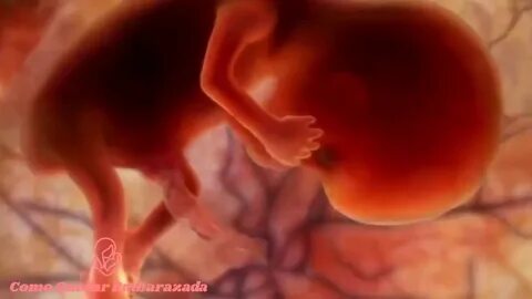 Әйелдердің қырынбаған аяқтары бейнеленген порно