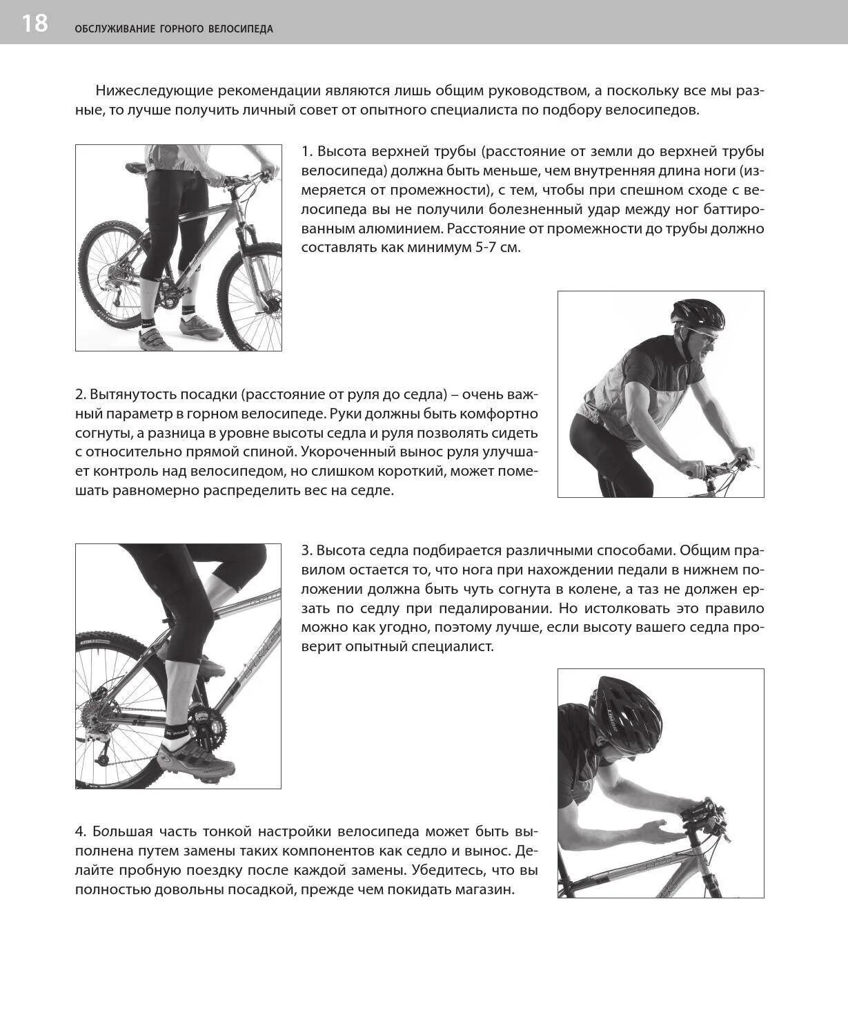 Руль велосипеда какой должен быть. Правильное положение сиденья велосипеда. Регулировка высоты велосипедного седла. Правильная посадка на Горном велосипеде седло и руль. Как правильно настроить седло велосипеда по высоте.