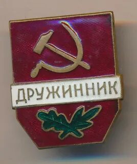 Дружинник