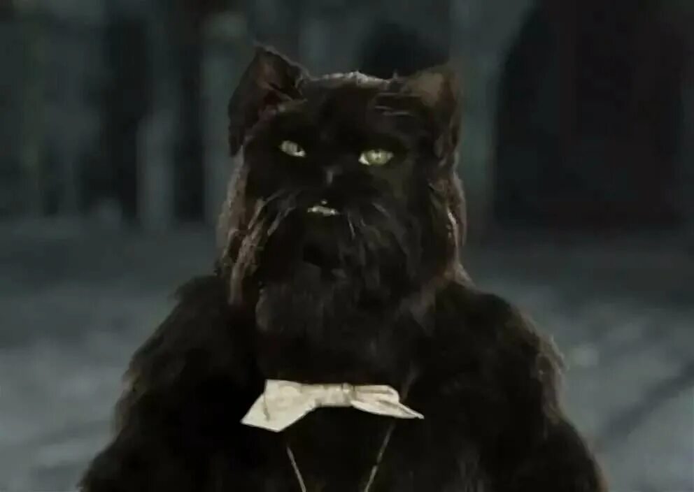 Антон чехов мемы. Мы в восхищении королева в восхищении мастер и маргарита. Мы в восхищении. Антон павлович чехов мемы. Кот бегемот мастер и маргарита фильм.