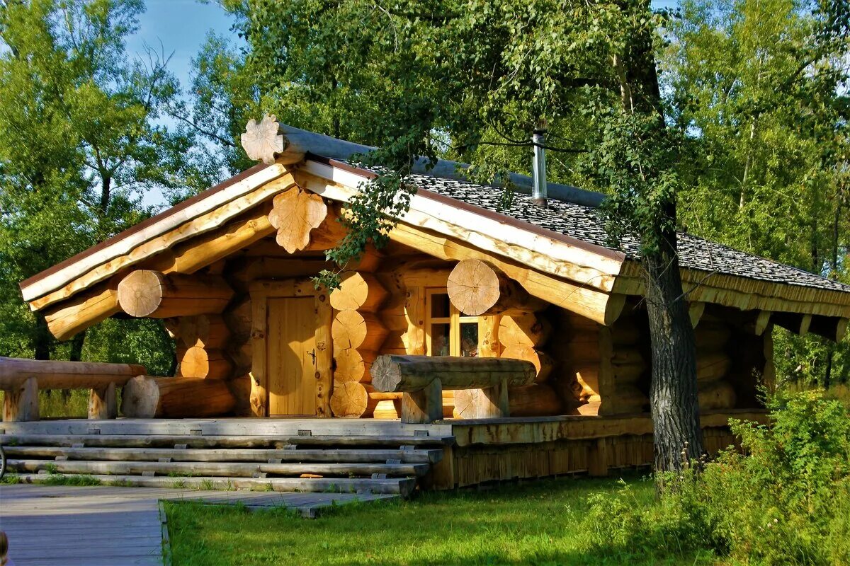 полярная сосна кело. белый дом из бревна. серебряная сосна,кело. сруб дома карелия. карельская сосна кело.