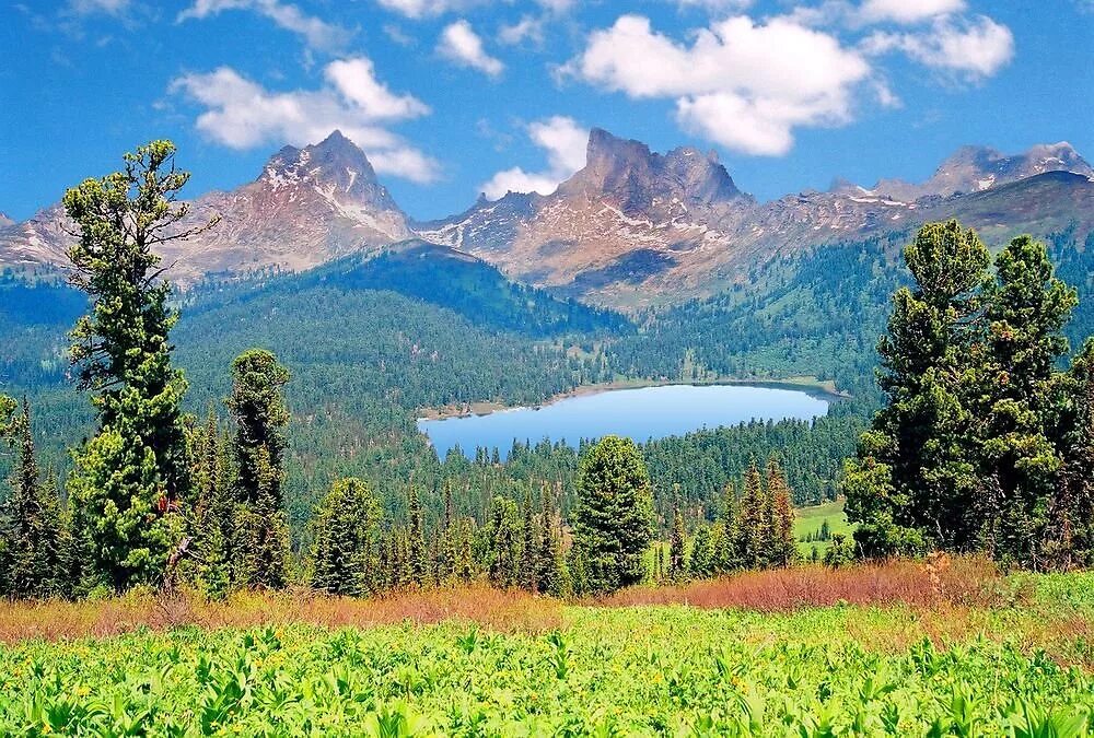 Саяны гольяново. Ивк саяны. Золото в саянах. Саяны мигна. Ергаки западный саян.