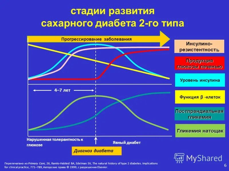 Сахарный диабет стадии. Стадии развития сахарного диабета 2 типа. Этапы развития сахарного диабета 1 типа. Стадии развития СД 2 типа. Стадии течения сахарного диабета 1 типа.