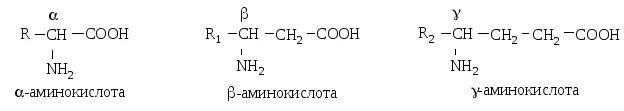Bcaa scivation xtend bcaa. Общее строение аминокислот. Аминокислота 7. Питание a seven. Bcaa 500.