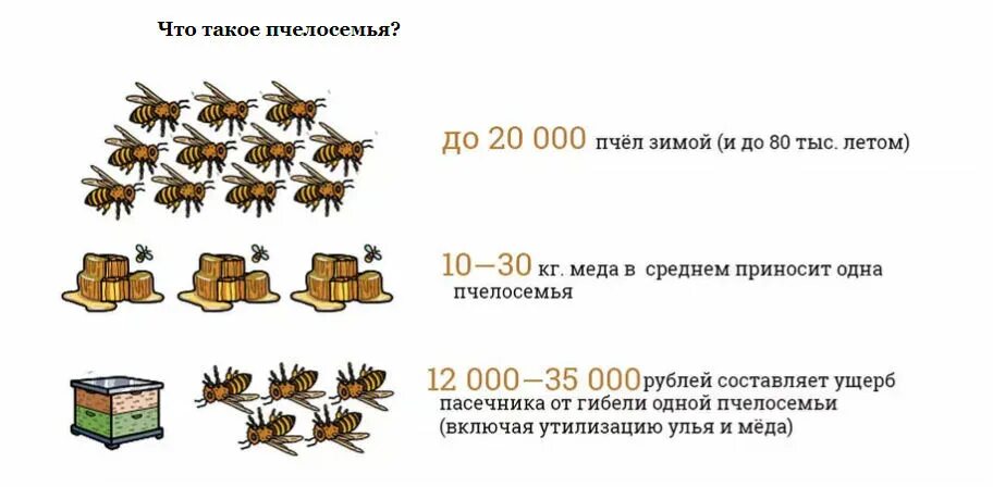 В улье 30 кг меда две пятых