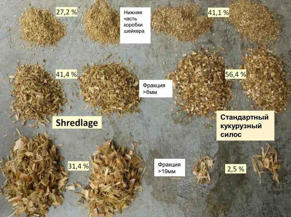 Силос для комбикорма. Силос кукурузный. Силос (корм). Микробиология кормов. Корма для животных 7 класс технология