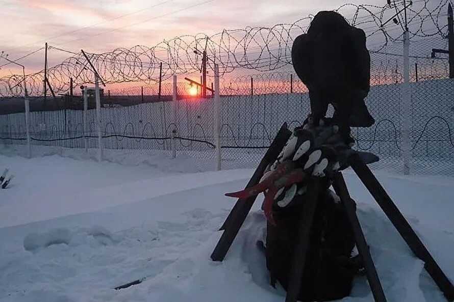 Ик-56 черный беркут. Фсин колония. Особый режим свердловская область. Исправительная колония 56 черный беркут. Ик-56 черный беркут.