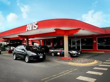 Avis