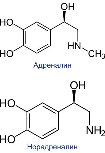 Норадреналин гормон формула. Адреналин и норадреналин формулы. Формулы гормонов адреналин норадреналин. Адреналин формула химическая. Звук адреналина